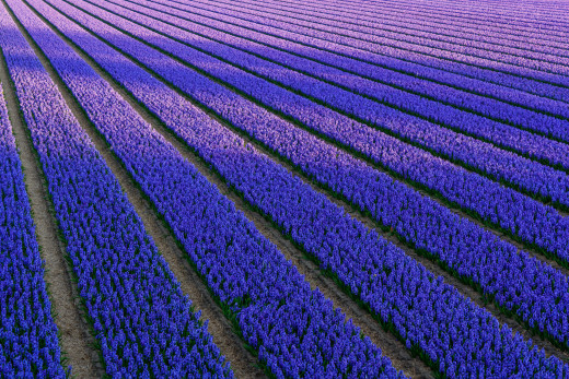 906943 (a): :2048x1365